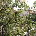 With Parking Space - 7023 Апартаменты *