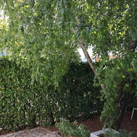 With Parking Space - 7023