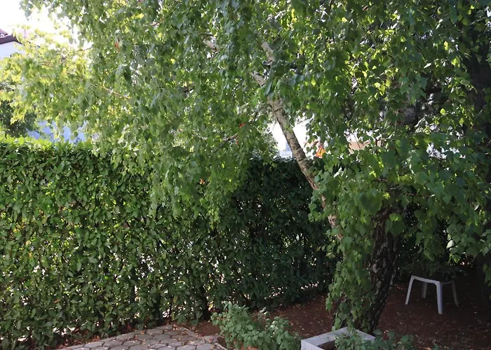 With Parking Space - 7023